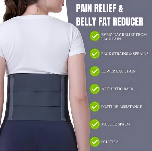 Back Braces Belt